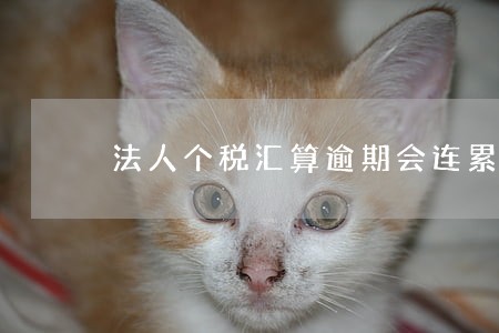 法人个税汇算逾期会连累公司 法人个税汇算逾期会连累公司