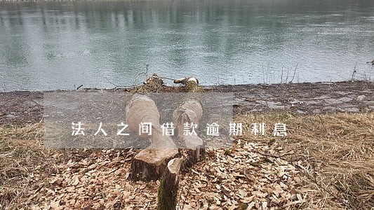 法人之间借款逾期利息 法人之间借款逾期利息