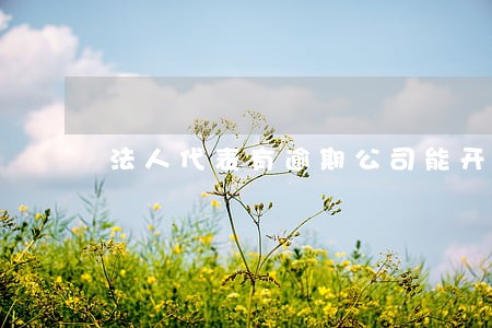 法人代表有逾期公司能开账户吗 法人代表有逾期公司能开账户吗