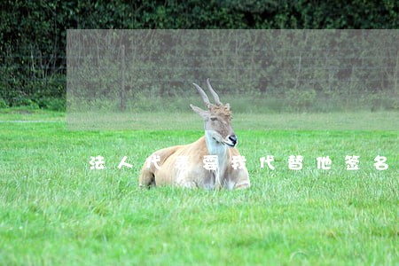 法人代表要我代替他签名违法吗 法人代表要我代替他签名违法吗
