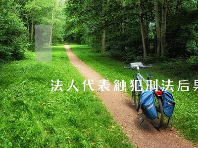 法人代表触犯刑法后果有哪些 法人代表触犯刑法后果有哪些