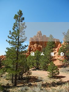 法人信息过期逾期未处理 法人信息过期逾期未处理