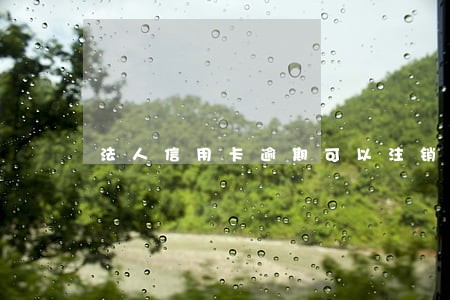 法人信用卡逾期可以注销公司吗 法人信用卡逾期可以注销公司吗