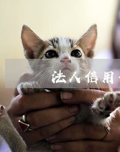 法人信用卡逾期对公司的影响 法人信用卡逾期对公司的影响