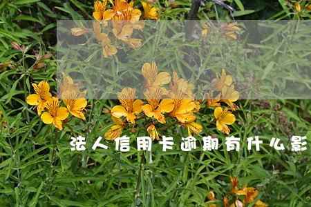 法人信用卡逾期有什么影响