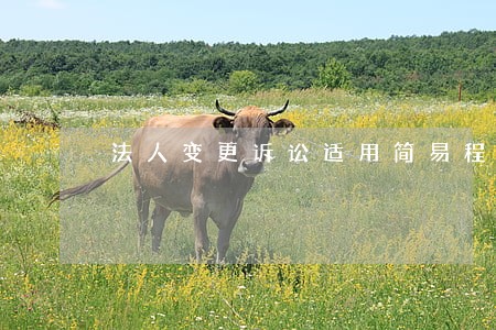 法人变更诉讼适用简易程序吗 法人变更诉讼适用简易程序吗