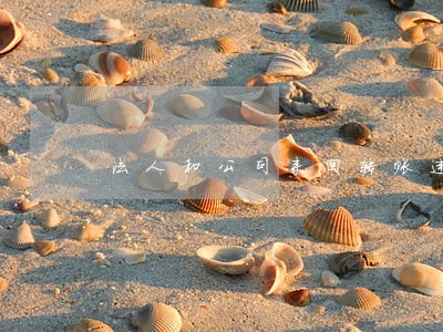 法人和公司来回转账违法吗 法人和公司来回转账违法吗
