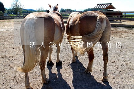法人常年法律顾问价格 法人常年法律顾问价格