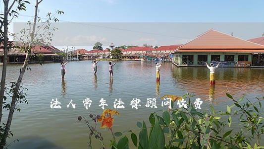 法人常年法律顾问收费 法人常年法律顾问收费