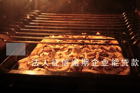 法人征信逾期企业能贷款 法人征信逾期企业能贷款