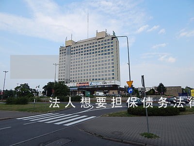 法人想要担保债务法律允许吗