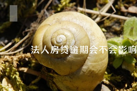 法人房贷逾期会不会影响企业征信 法人房贷逾期会不会影响企业征信