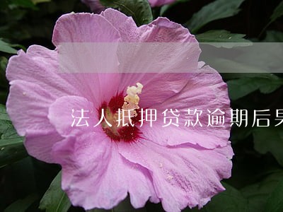 法人抵押贷款逾期后果 法人抵押贷款逾期后果