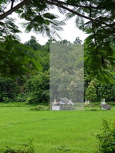 法人担保公司贷款逾期 法人担保公司贷款逾期