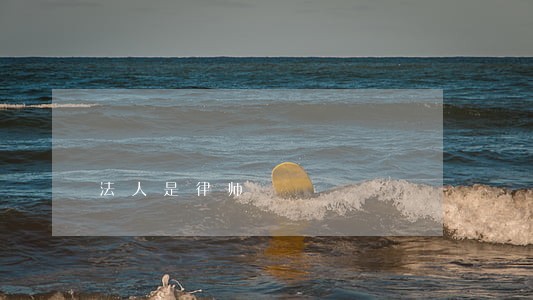 法人是律师 法人是律师