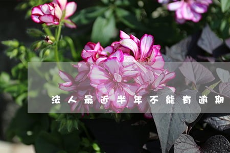 法人最近半年不能有逾期 法人最近半年不能有逾期