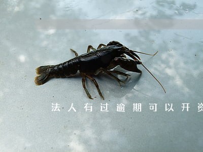 法人有过逾期可以开资信证明吗