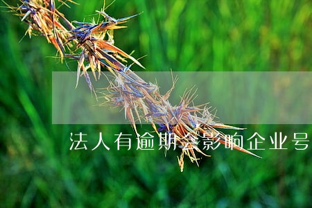 法人有逾期会影响企业号使用吗 法人有逾期会影响企业号使用吗