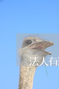 法人有逾期公司能开账户吗 法人有逾期公司能开账户吗