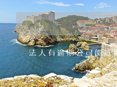 法人有逾期公司能抵押贷款吗 法人有逾期公司能抵押贷款吗
