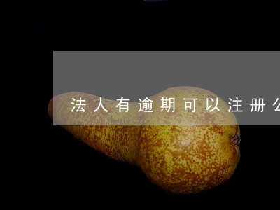 法人有逾期可以注册公司吗 法人有逾期可以注册公司吗
