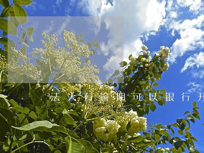 法人有逾期可以银行开户吗 法人有逾期可以银行开户吗