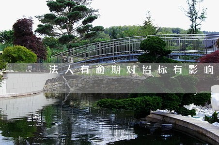 法人有逾期对招标有影响吗