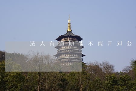 法人有逾期能不能开对公账户 法人有逾期能不能开对公账户