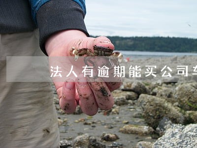 法人有逾期能买公司车么 法人有逾期能买公司车么
