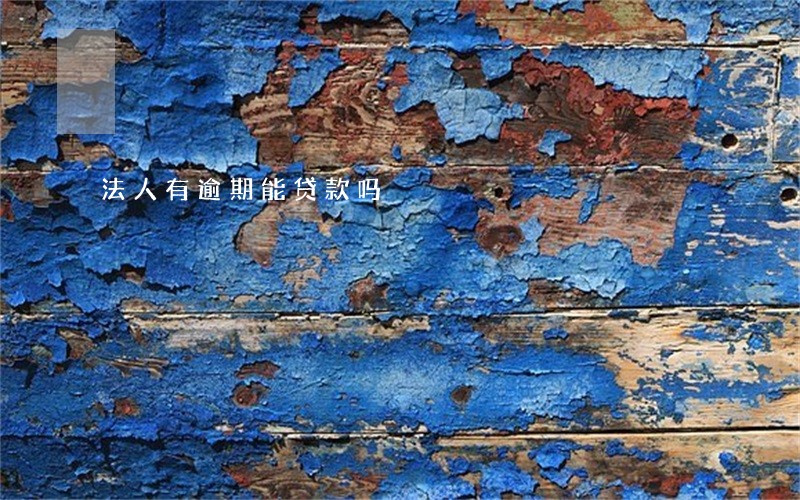 法人有逾期能贷款吗 法人有逾期能贷款吗