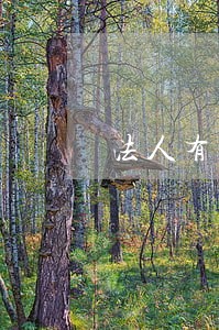 法人有逾期记录