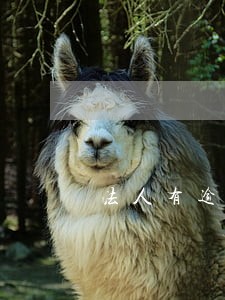 法人有逾期记录影响公司贷款 法人有逾期记录影响公司贷款