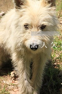 法人欠款法院可以执行冻结公司吗 法人欠款法院可以执行冻结公司吗