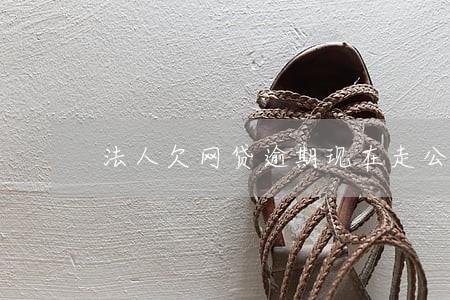 法人欠网贷逾期现在走公账行吗 法人欠网贷逾期现在走公账行吗