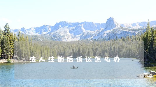 法人注销后诉讼怎么办 法人注销后诉讼怎么办