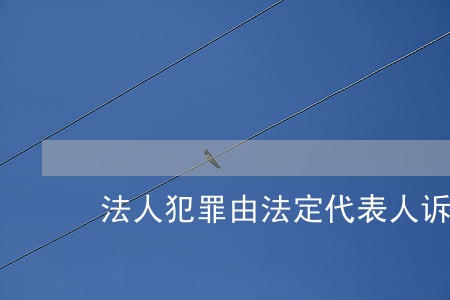法人犯罪由法定代表人诉讼 法人犯罪由法定代表人诉讼