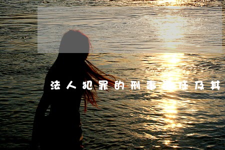 法人犯罪的刑事责任及其立法完善 法人犯罪的刑事责任及其立法完善