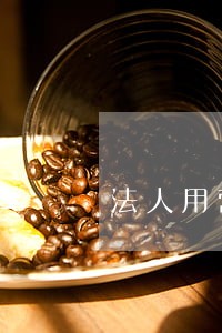 法人用营业执照贷款逾期不还 法人用营业执照贷款逾期不还