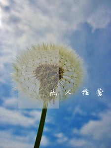 法人经营贷逾期会冻结股东的钱吗 法人经营贷逾期会冻结股东的钱吗