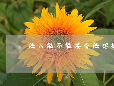 法人能不能接受法律援助 法人能不能接受法律援助
