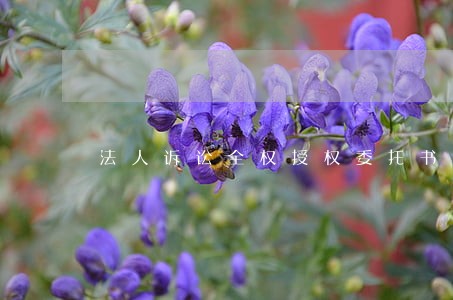 法人诉讼全权授权委托书 法人诉讼全权授权委托书