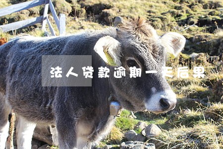 法人贷款逾期一天后果 法人贷款逾期一天后果