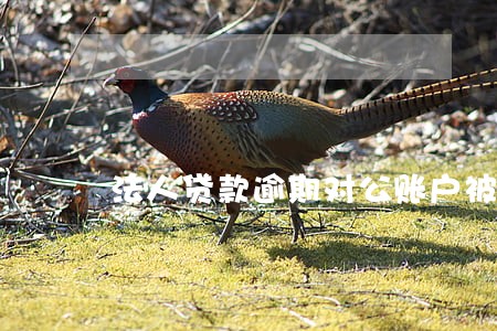 法人贷款逾期对公账户被冻结 法人贷款逾期对公账户被冻结