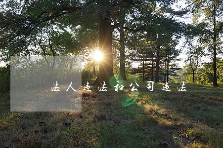 法人违法和公司违法 法人违法和公司违法