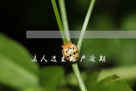 法人透支账户逾期 法人透支账户逾期