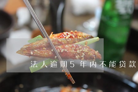 法人逾期5年内不能贷款吗 法人逾期5年内不能贷款吗
