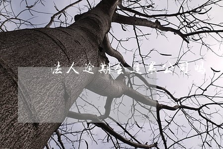 法人逾期会连累公司吗 法人逾期会连累公司吗