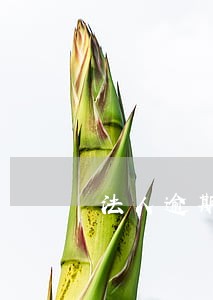 法人逾期信用卡