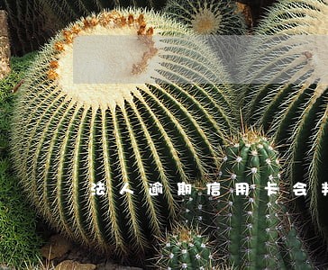 法人逾期信用卡会判刑吗 法人逾期信用卡会判刑吗