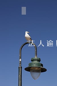 法人逾期影响公司 法人逾期影响公司
